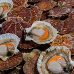 RIALTO MARKT IN VENEDIG – * ON TOUR