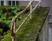 Lost Place Kent School