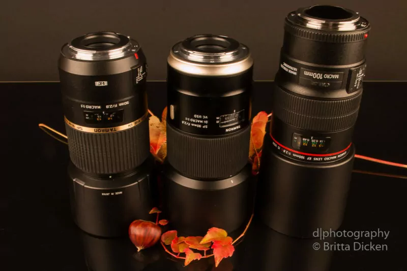 Vergleich Tamron Makro vs Canon Makro Vergleich Tamron Makro vs Canon Makro