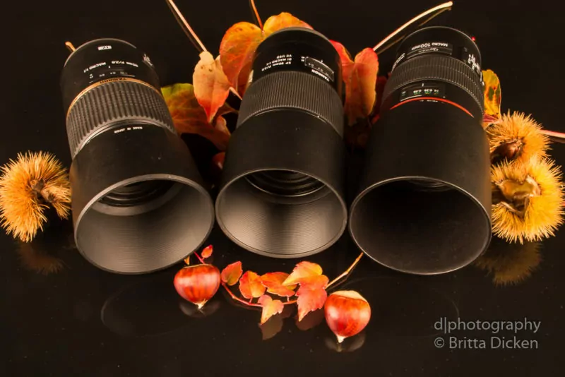 Vergleich Tamron vs Canon Makro