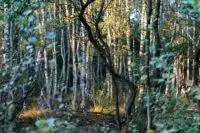 Herbstimpressionen