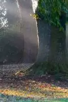 Herbstimpressionen