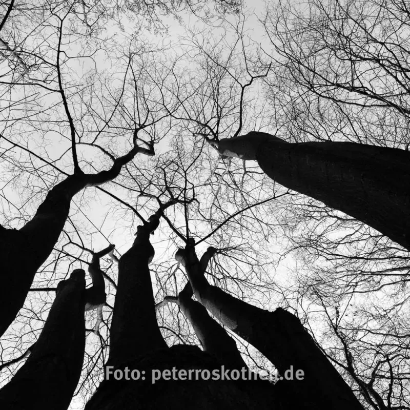 Fujifilm X-T2 Testfoto - Schwarzweiß Quadratisch Fujifilm X-T2 Testfoto - Schwarzweiß Quadratisch