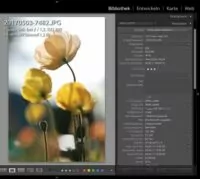 Foto Metadaten Auslesen – Video Anleitung Foto Metadaten auslesen - Beispiel Lightroom