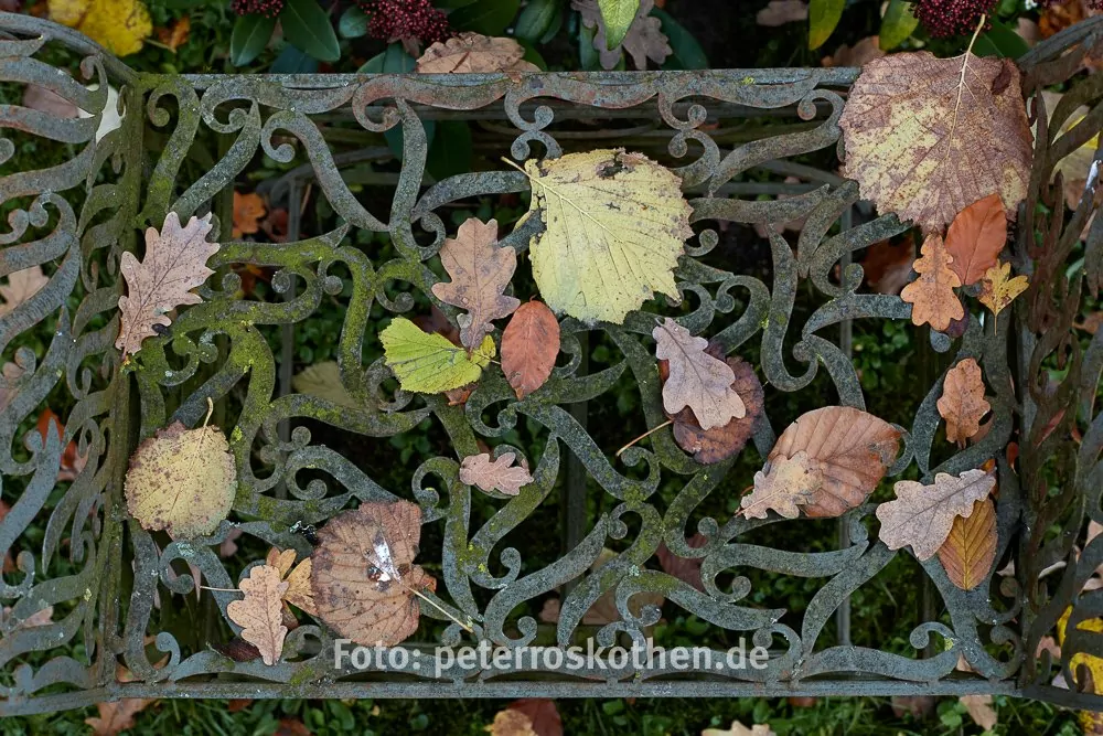 Vergleich Capture One Versus Lightroom - Das Bildergebnis - Hier: Capture One