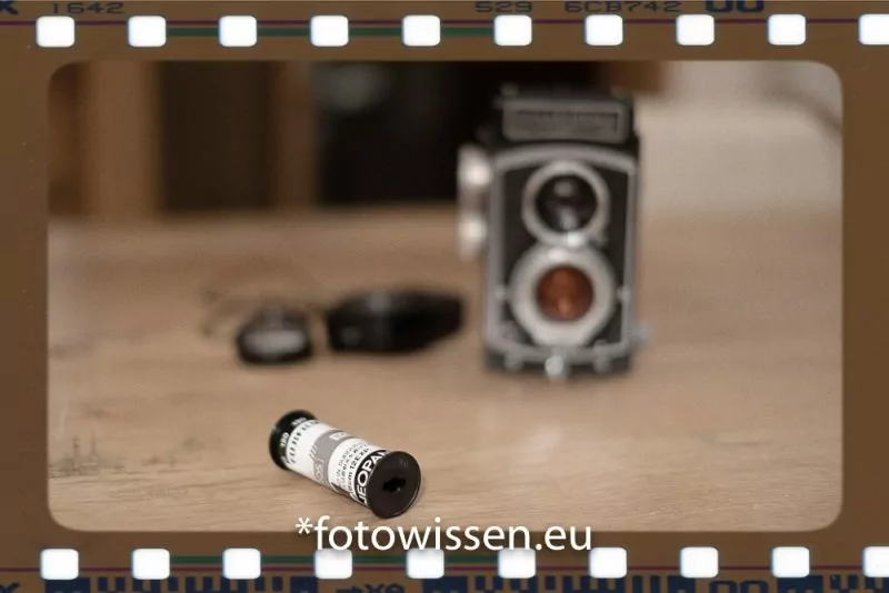 Analog Fotografieren mit Film - Zurück in die Vergangenheit?