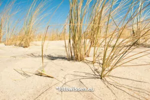 Bessere Urlaubsbilder - Die Froschperspektive für bessere Fotos