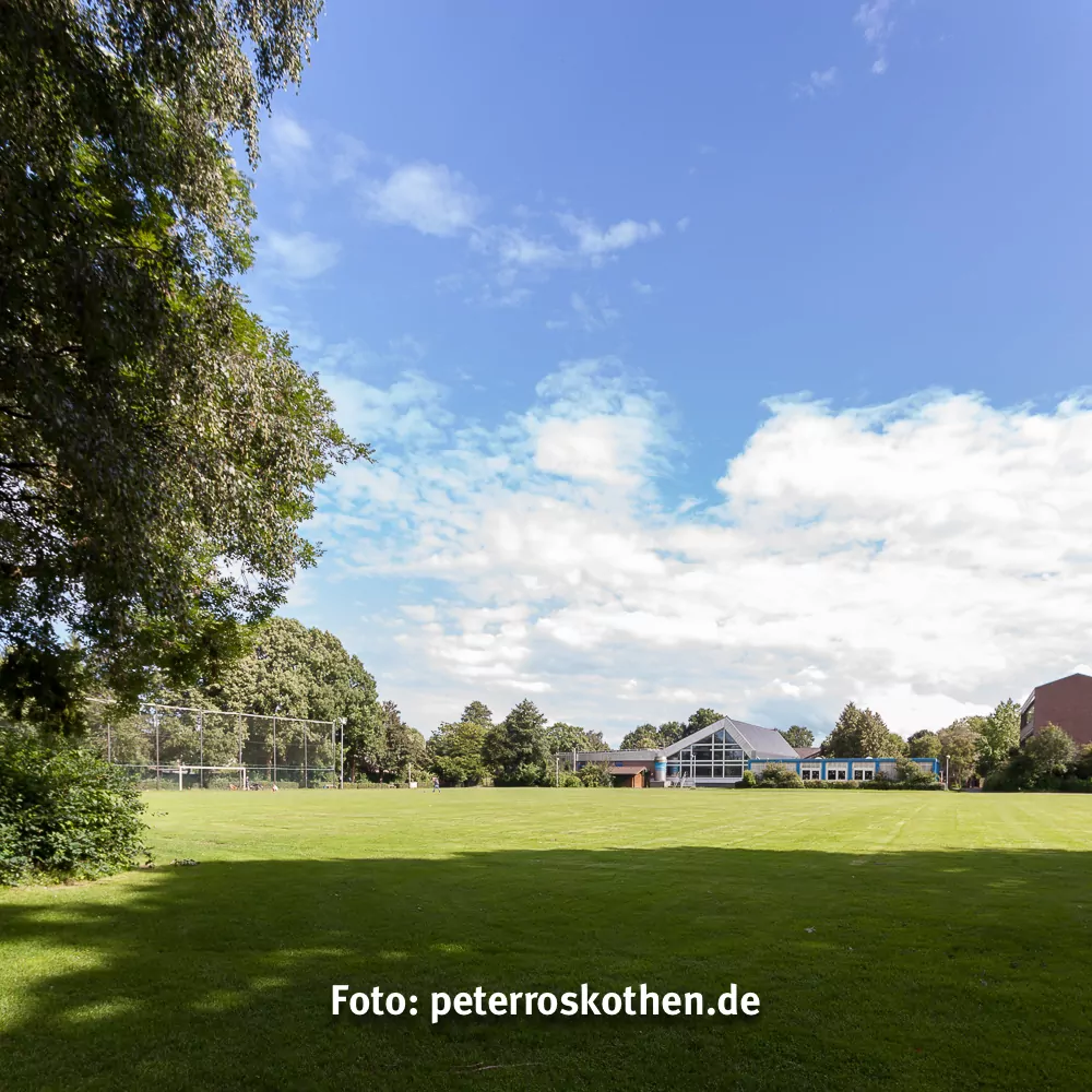 Bildvergleich ohne Polfilter