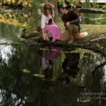 Elfia Arcen 2018