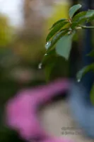 Herstbfarben
