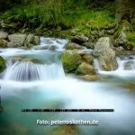 Testbild GFX 50S - gleicher Sensor wie GFX 50R