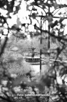 Testfotos Schwarzweiß Kamera Leica