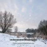 Testbild GFX 50R