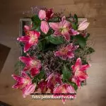 Testfoto mit Godox und Fuji GFX 50R Produktfoto