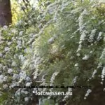 Testbilder 90mm Tilt-/Shift-Objektiv