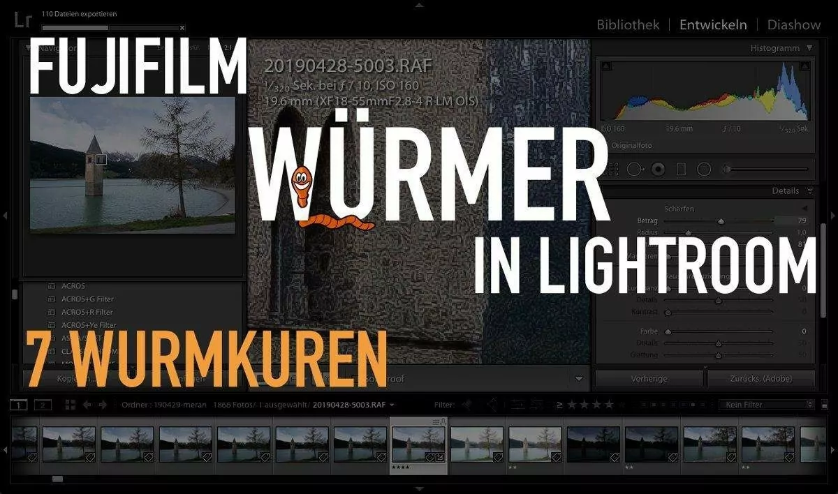 Fujifilm Wurmkur – Fuji Würmer in Lightroom – 7 Wurmkuren für Fuji RAW Lightroom