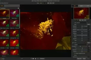 On1 Photo RAW kann Lightroom ersetzen