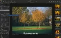 Capture One 20 - Werkzeugleiste links ist scrollbar