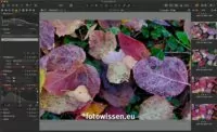 Das HDR-Werkzeug in Capture One 12