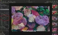 Das HDR-Werkzeug in Capture One Pro 20