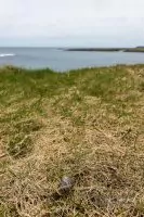 Äußere Hebriden Barra