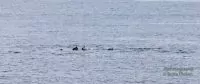 Äußere Hebriden Barra
