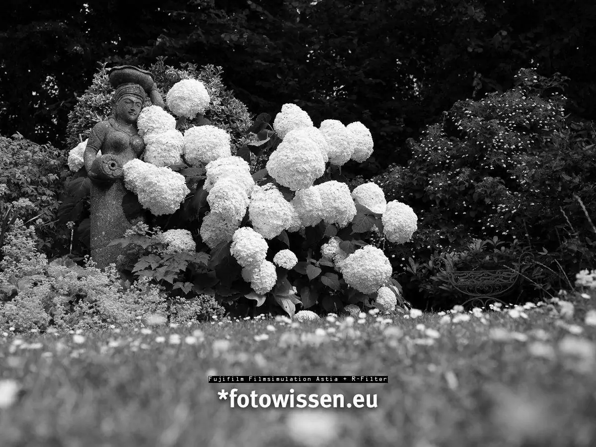 Fujifilm-Filmsimulationen - Kreativität für Fotografen Astia + R-Filter