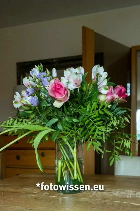 Blumen-Fotografie - Geheimnisse und Tipps rund um die Fotografie von Blumen