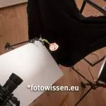 Geheimnisse der Fotografie: Setup für die Blumen-Aufnahme