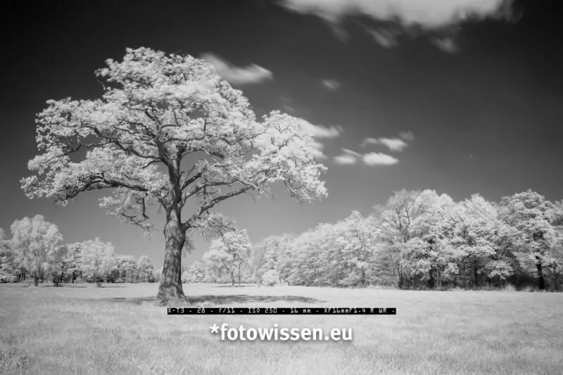 Infrarot Schwarzweiß Foto mit Fuji X-T3