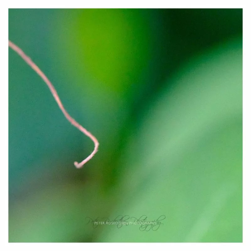 Der eigene Fotoausflug - Ich-Zeit - Meditation Fotografie