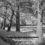 Infrarot Foto Fujifilm Kamera IR-Umbau