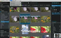 Ähnliche Fotos in Excire Foto finden