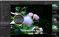 Excire Foto - Auch Capture One zeigt die Stichwörter (Schlagwörter) an.
