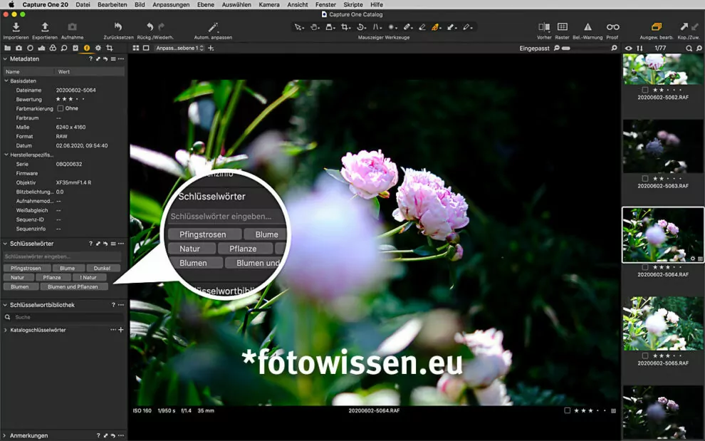 Excire Foto - Auch Capture One zeigt die Stichwörter (Schlagwörter) an.
