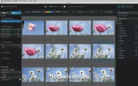 Excire Foto - Suchergebnis Blume und Blau