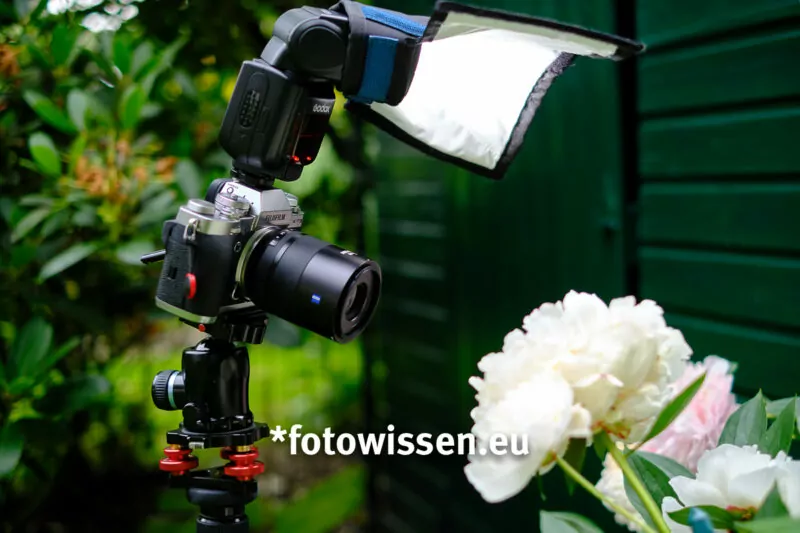 Makrofoto mit Systemblitz und aufgestecktem Reflektor von links Makrofoto mit Systemblitz und aufgestecktem Reflektor von links