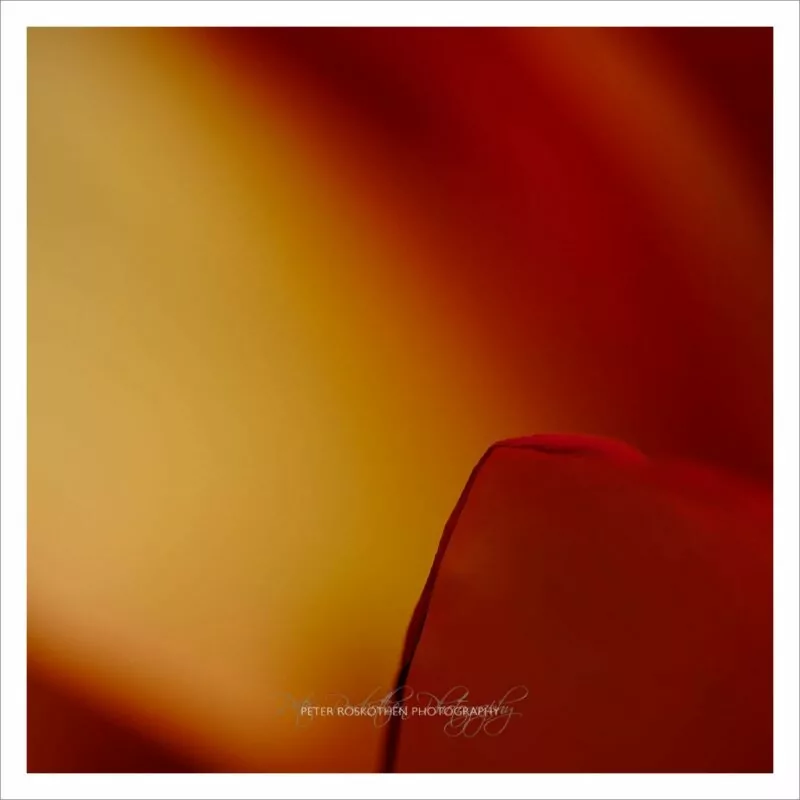 Im Nichts - Meditation Fotografie