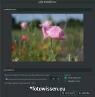 Suche nach ähnlichen Fotos in Excire Foto