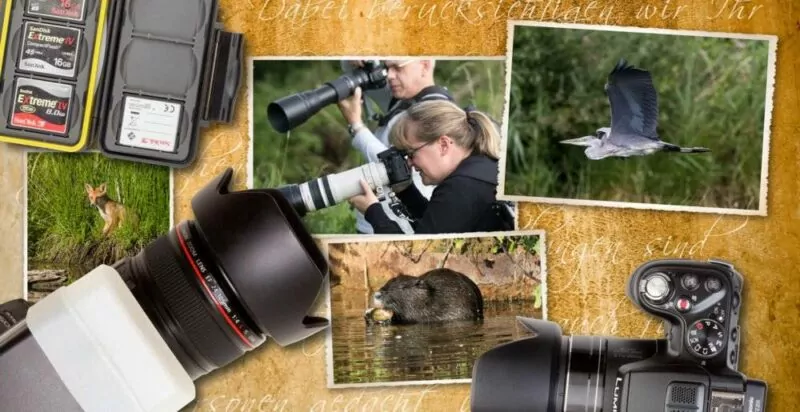 Individueller Wildlife-Fotokurs Fotoschule Roskothen