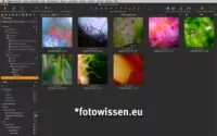 ON1 Photo RAW - Beste Bildbearbeitung Software für Fotografen mit schnellem Arbeitsablauf