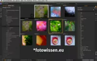 Capture One Pro 20 - Beste Software für die Bildbearbeitung mit Arbeitsablauf