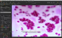 Bildbearbeitung mit Capture One Pro 20