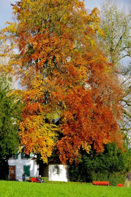 Herbst geniessen