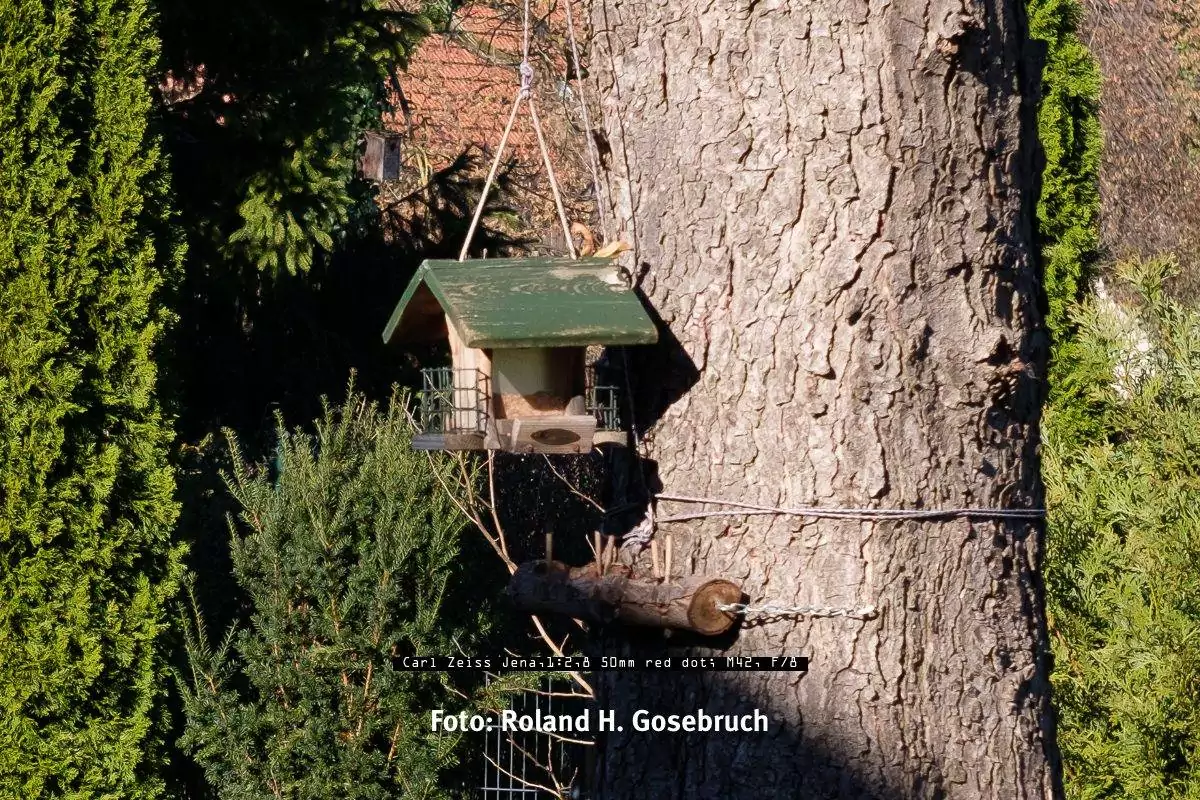 Ausschnitt Carl Zeiss Jena,1:2,8 50mm red dot; M42, F/8