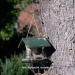 FUJIFILM 200mm EBC; 1:4.5; M42, F/8