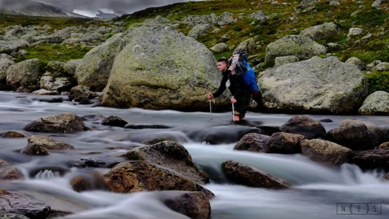 Moskito meets Mittelformat - Mit der Fuji GFX50s im Fjäll über dem Polarkreis - Foto: Bernhard Labestin Moskito meets Mittelformat - Mit der Fuji GFX50s im Fjäll über dem Polarkreis - Foto: Bernhard Labestin
