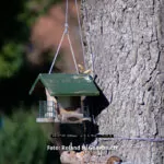 VIVITAR 200mm; 1:3.5 M42 - F/3.5