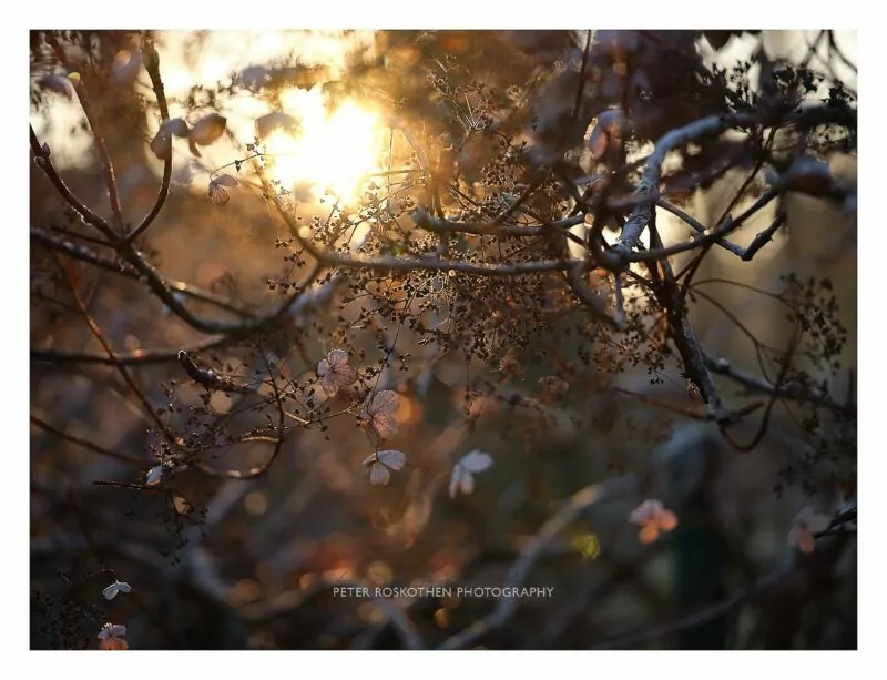 Erfahrungsbericht Fujifilm GFX-Objektive - Meine liebsten Fujifilm GFX-Objektive Erfahrungsbericht Fujifilm GFX-Objektive - Meine liebsten Fujifilm GFX-Objektive