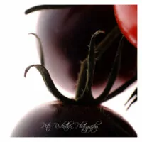 Aufgabe Makrofoto: Tomate fotografieren